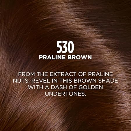 Loreal Paris - No Ammonia Casting Creme Gloss Conditioning Color [530 Praline Brown]