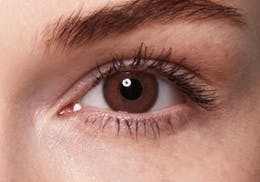 SWATI BRONZE 1-MONTH LENSES