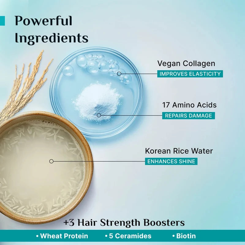 Pilgrim - Korean Rice Water & Collagen Advanced Damage Repair Conditioner (200ml)