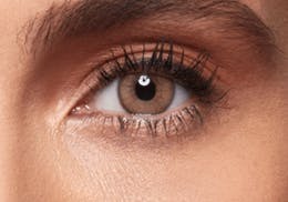 SWATI SANDSTONE 1-MONTH LENSES