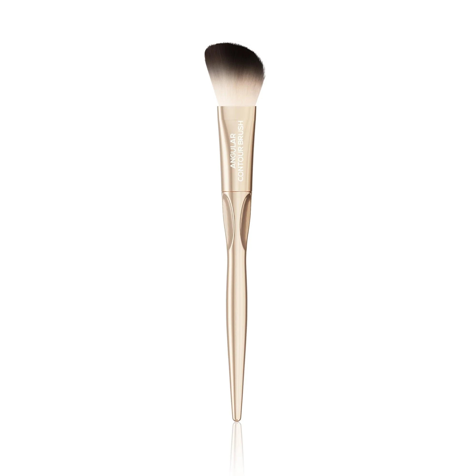 Renee - Pro Brushes