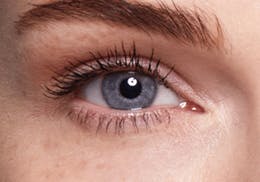 SWATI - BRONZE 6-MONTHS LENSES
