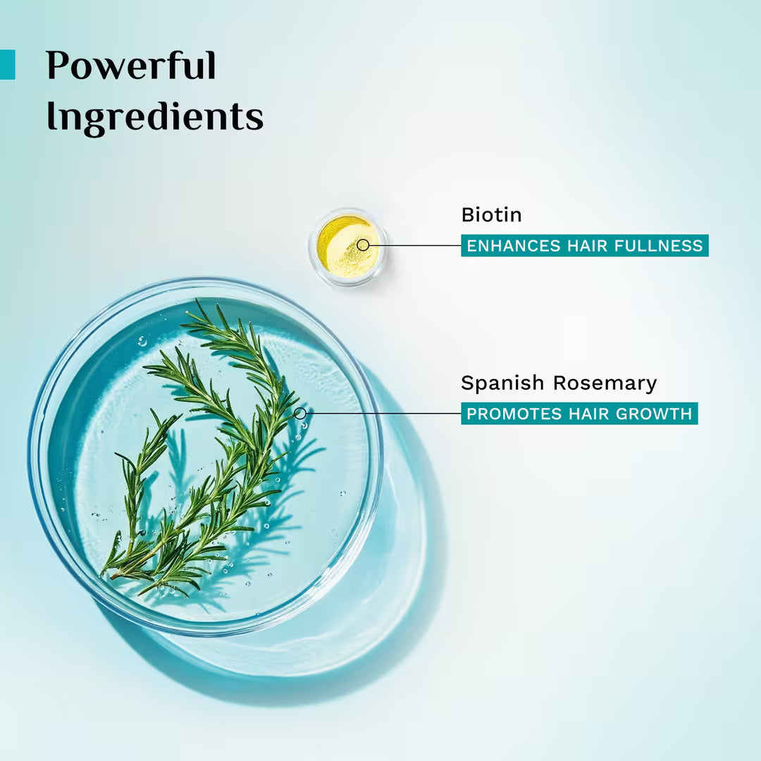 Pilgrim - Spanish Rosemary Anti-Hairfall Hair Mask (200g)