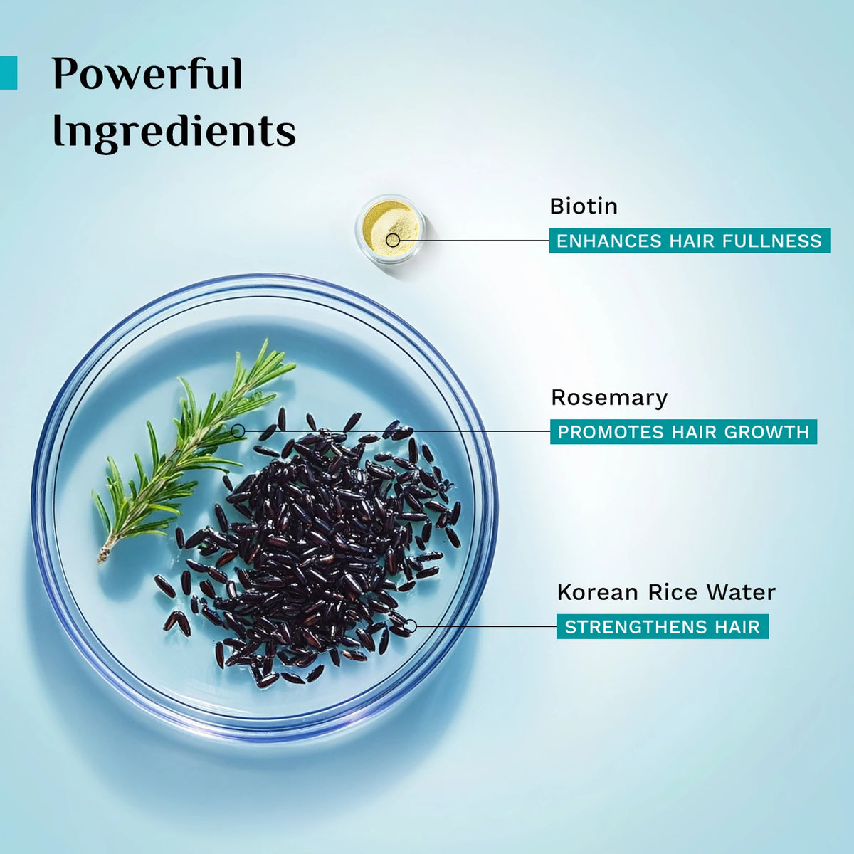 Pilgrim - Korean Black Rice & Rosemary Water Spray (200ml)