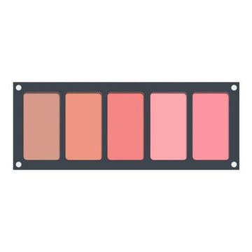 Ferrarucci - 5 Color blush palette (02)