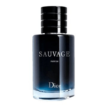 Dior - Parfum 100ml (MEN)