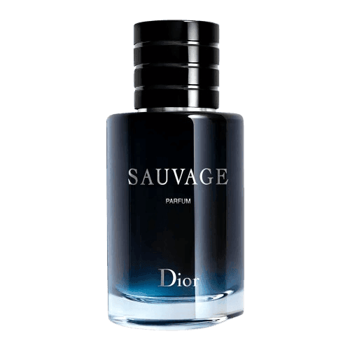 Dior - Parfum 100ml (MEN)