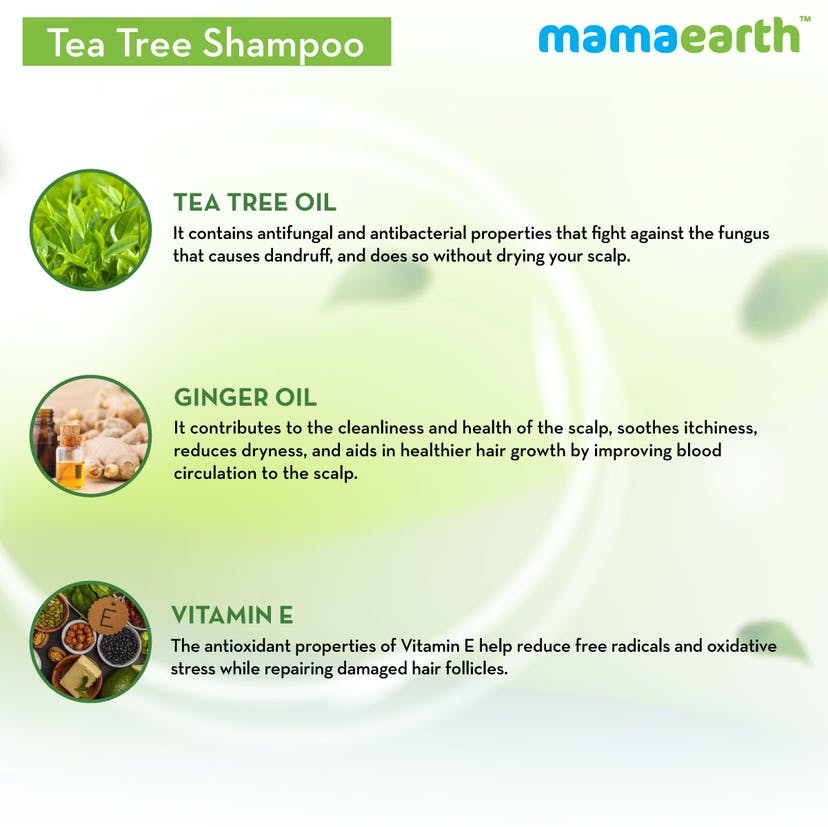 Mamaearth Tea Tree Shampoo for Dandruff Free Hair (250mL)