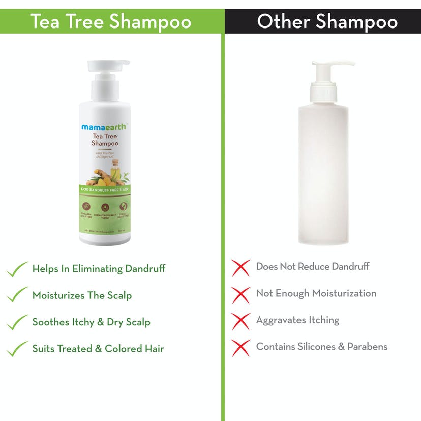 Mamaearth Tea Tree Shampoo for Dandruff Free Hair (250mL)