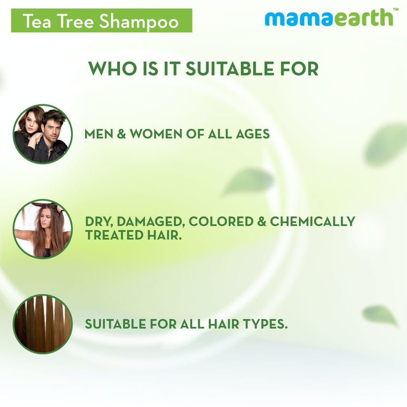 Mamaearth Tea Tree Shampoo for Dandruff Free Hair (250mL)